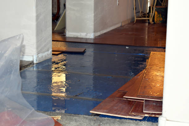 Professional Basement Flood Cleanup technician working in Teec Nos Pos, AZ
